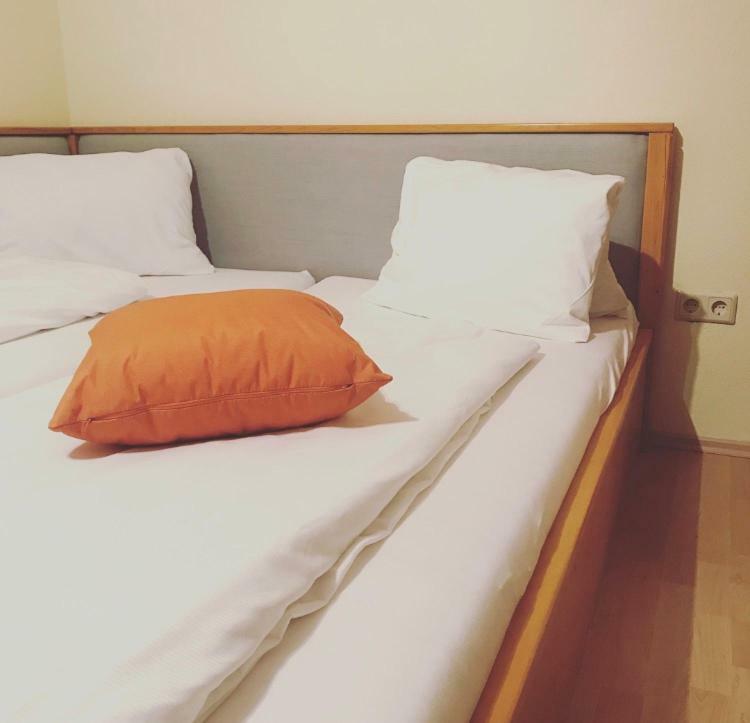 Mani'S Appartements Radstadt Εξωτερικό φωτογραφία